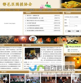 中文内容示例