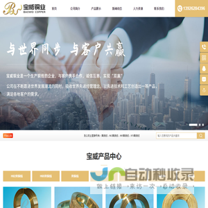 清远宝威铜业有限公司
